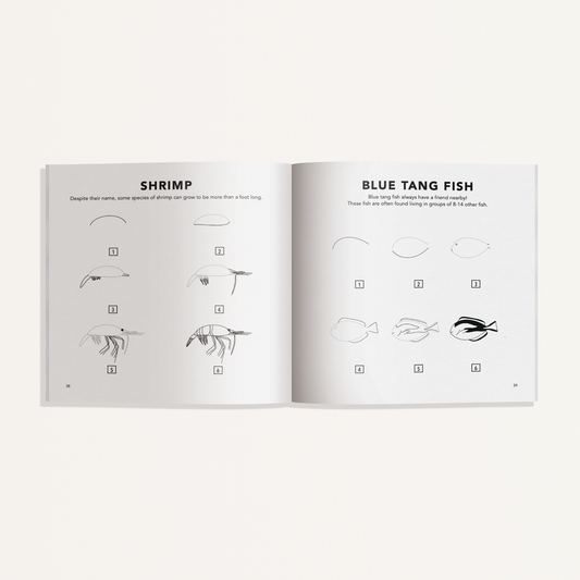 Mini How to Draw Book | Sea