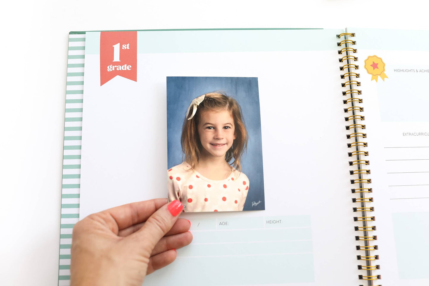 The School Years | Memory Book