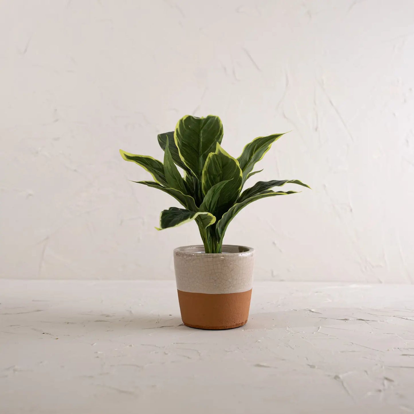 Two Tone Planter