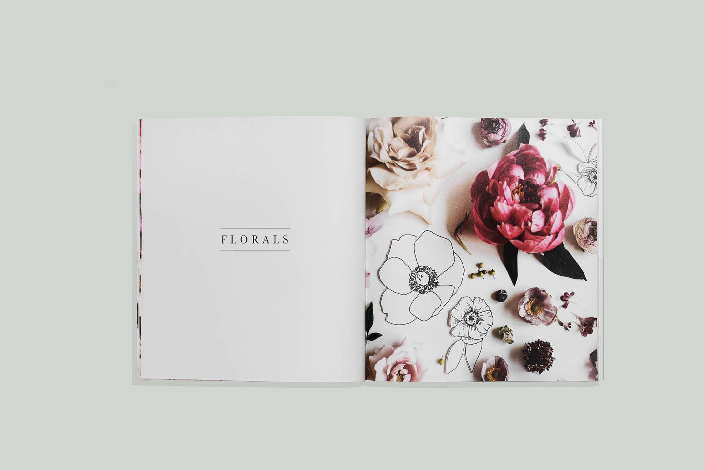 Mini How to Draw Book | Modern Florals