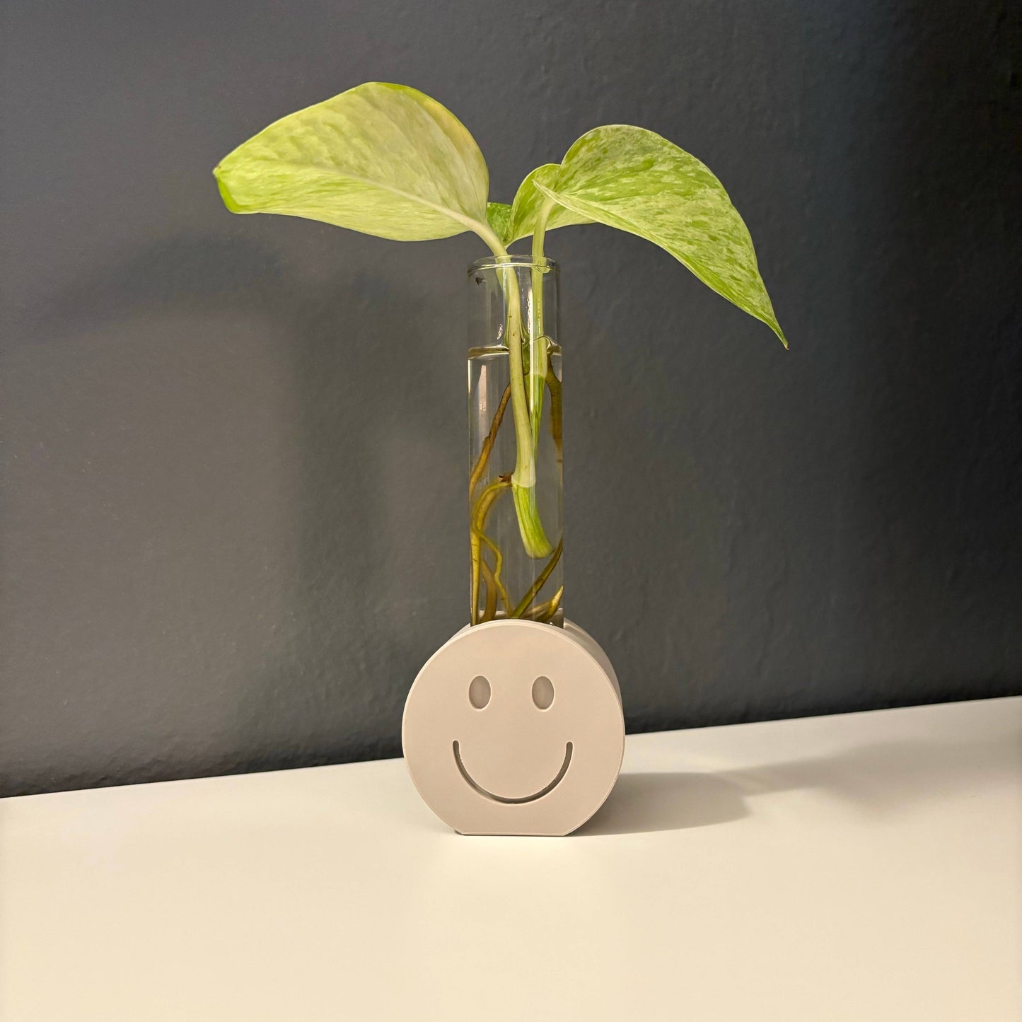 Smiley | Propagation Stand