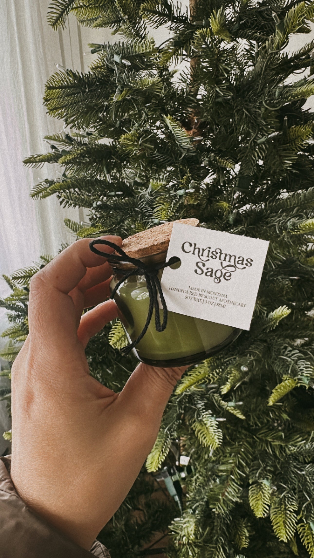 Christmas Sage | 3oz Candle