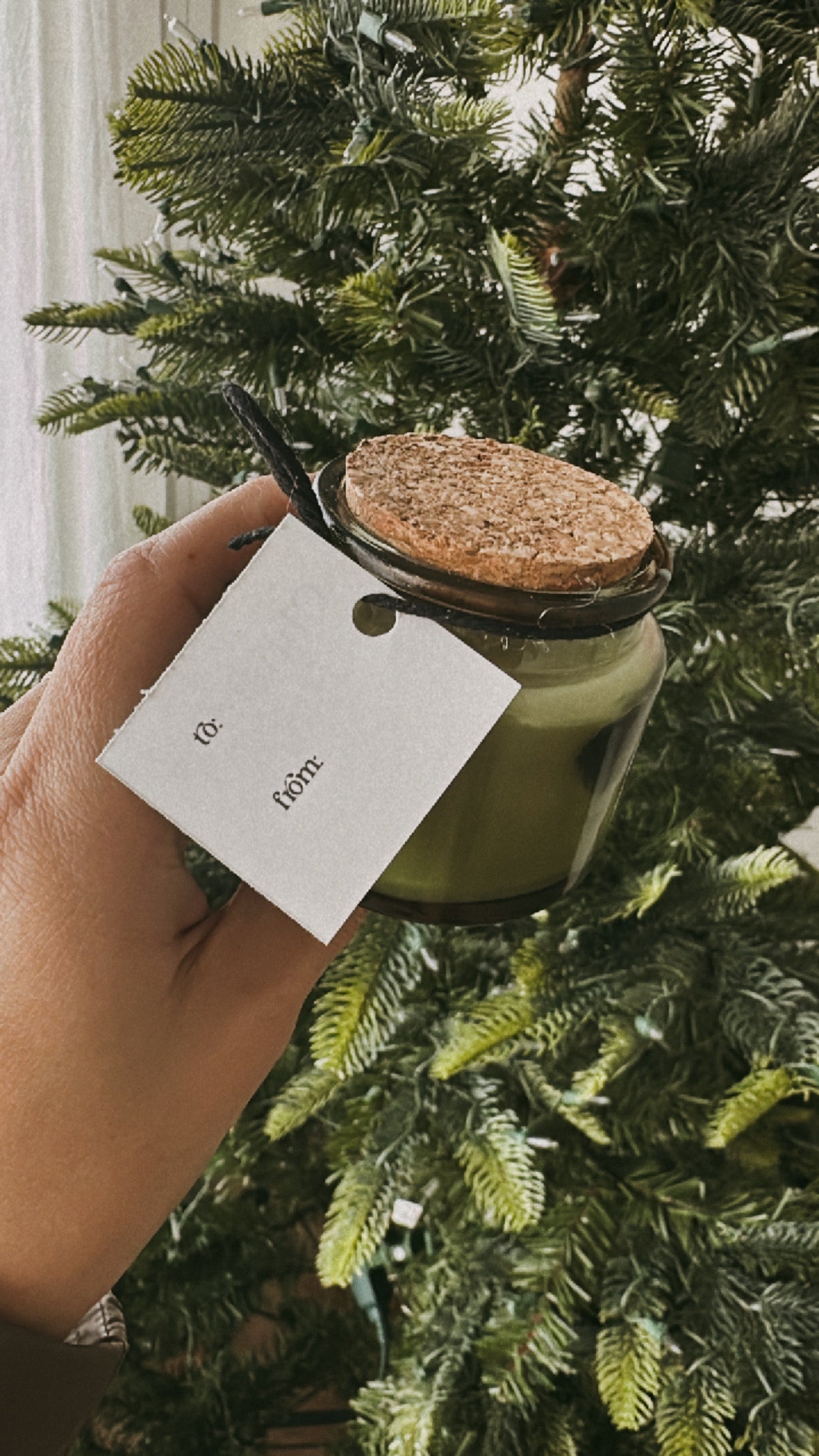 Christmas Sage | 3oz Candle