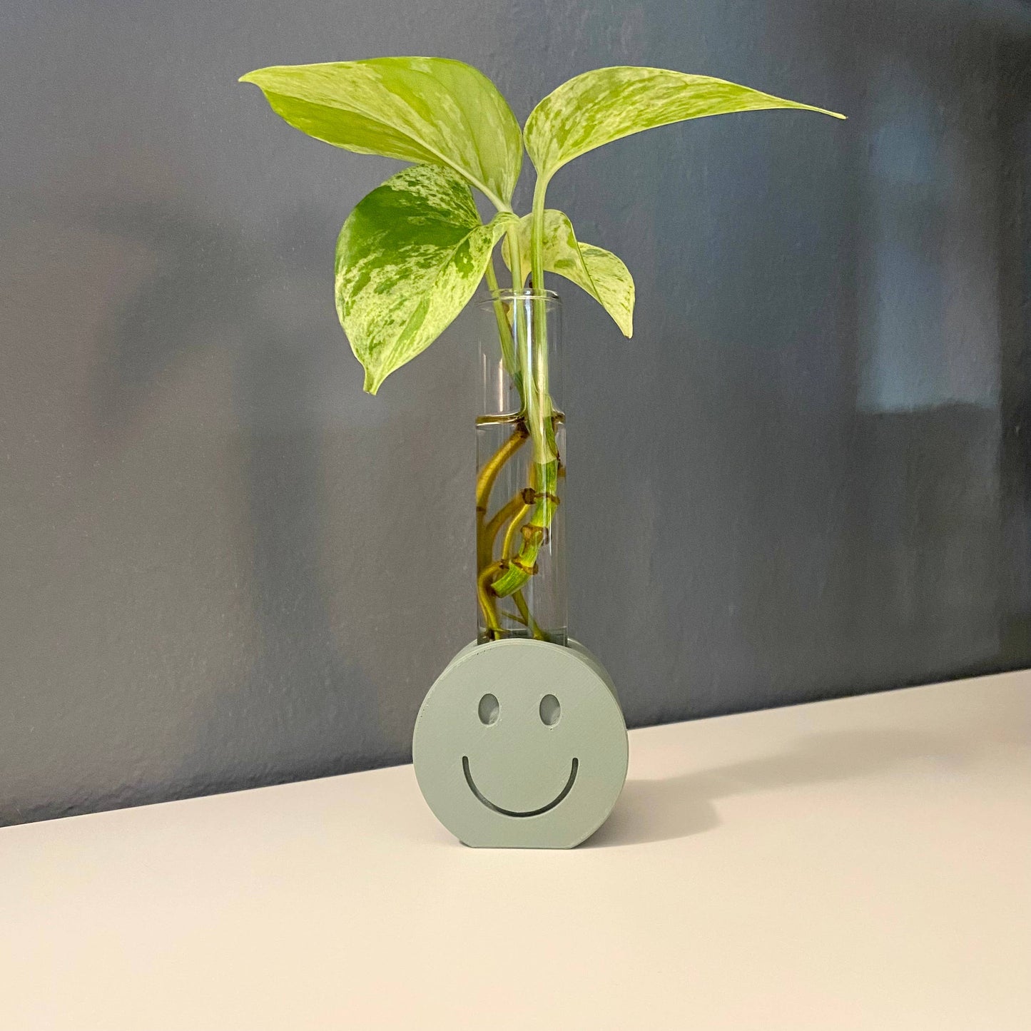 Smiley | Propagation Stand